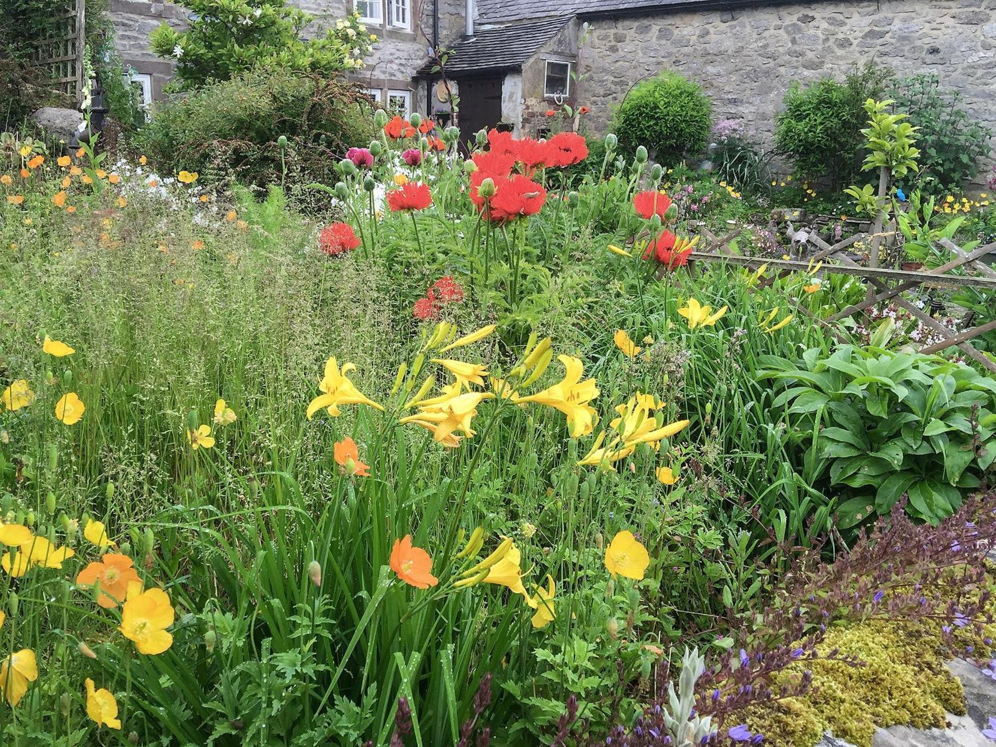 Wild Flower Cottage Youlgreave المظهر الخارجي الصورة